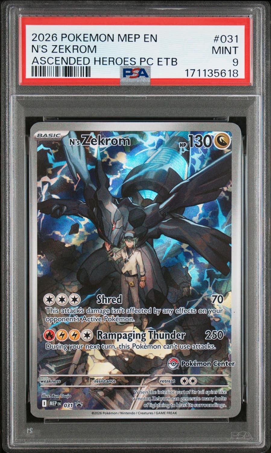 N'S Zekrom