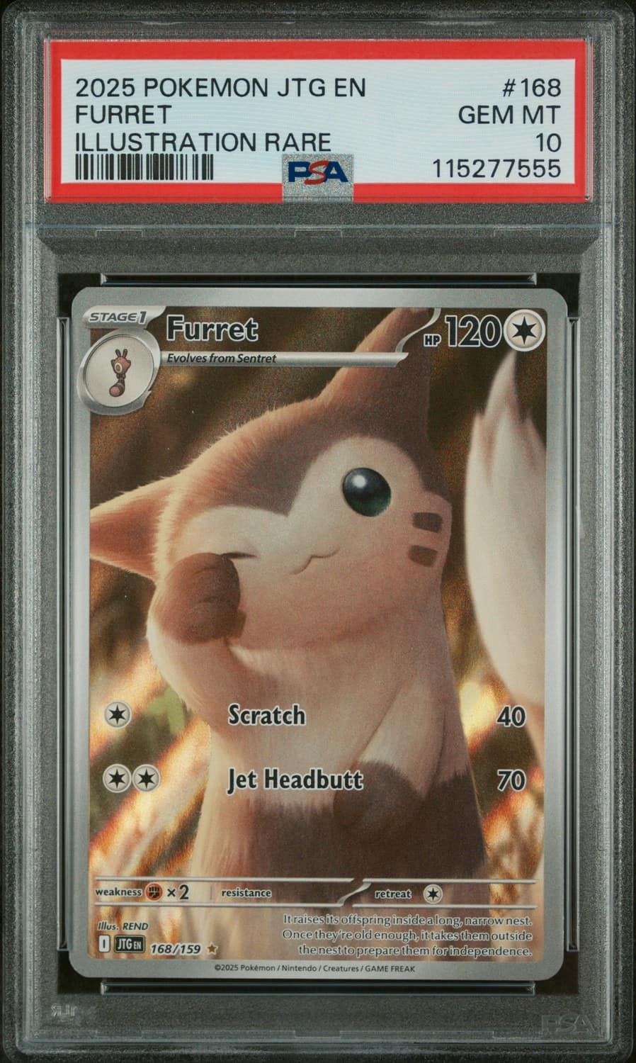 Furret