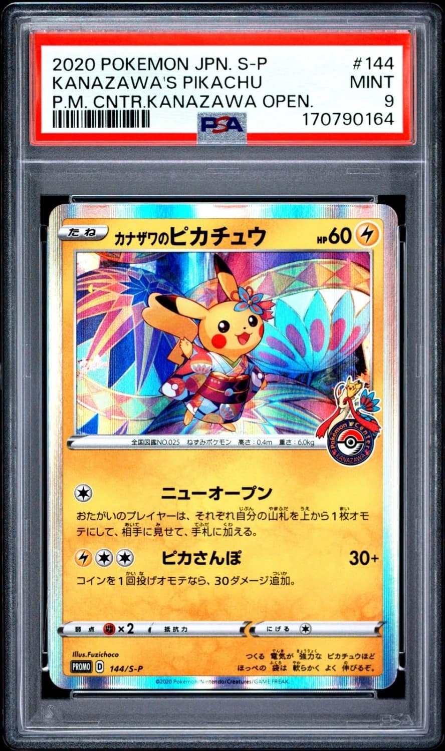 Kanazawa'S Pikachu