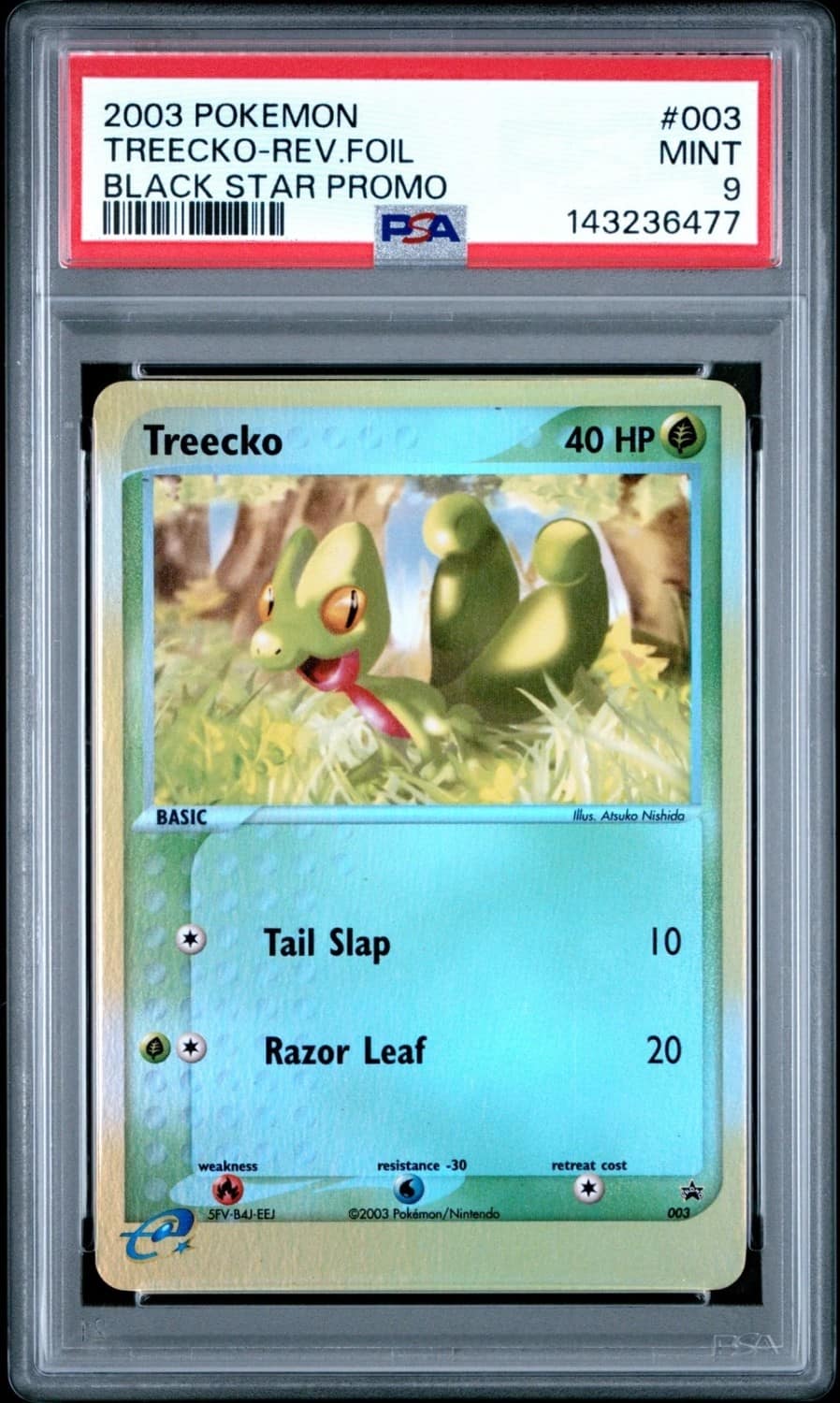 Treecko