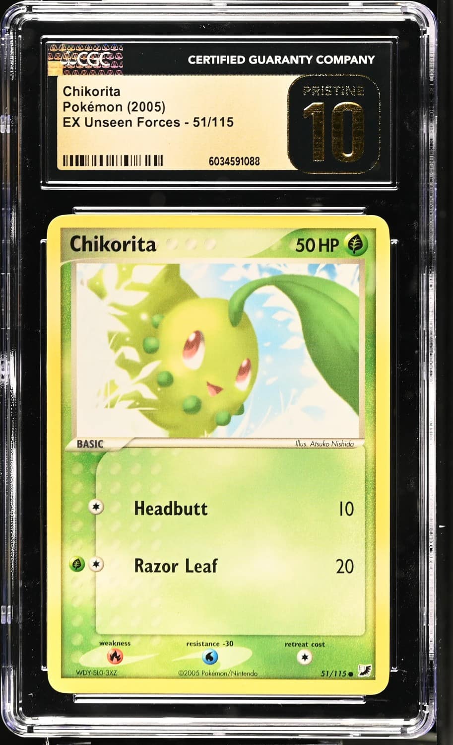 Chikorita