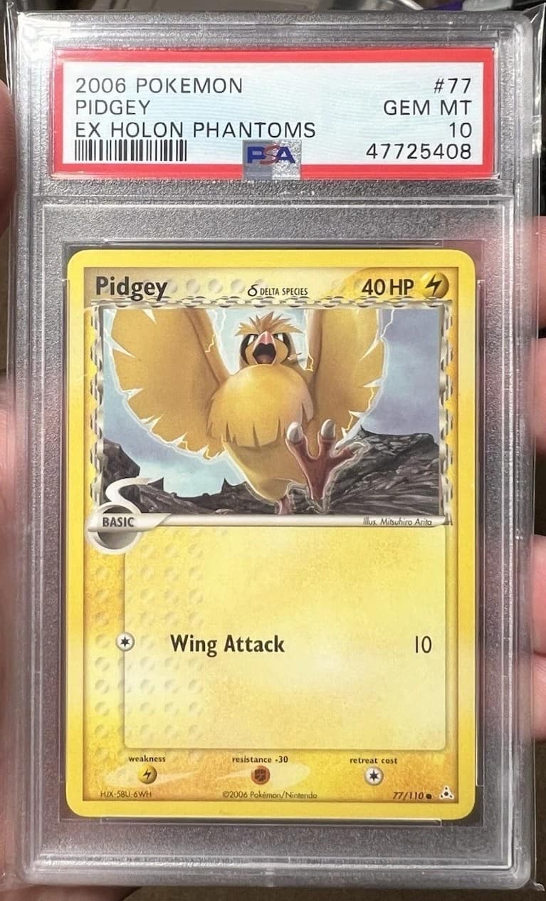 Pidgey δ