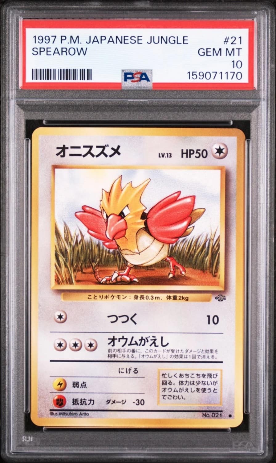 Spearow