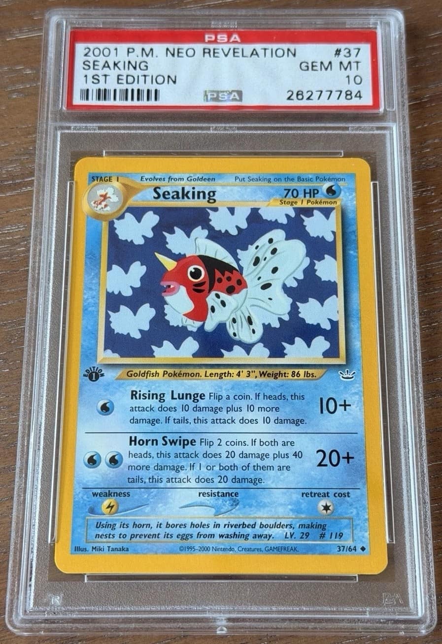 Seaking