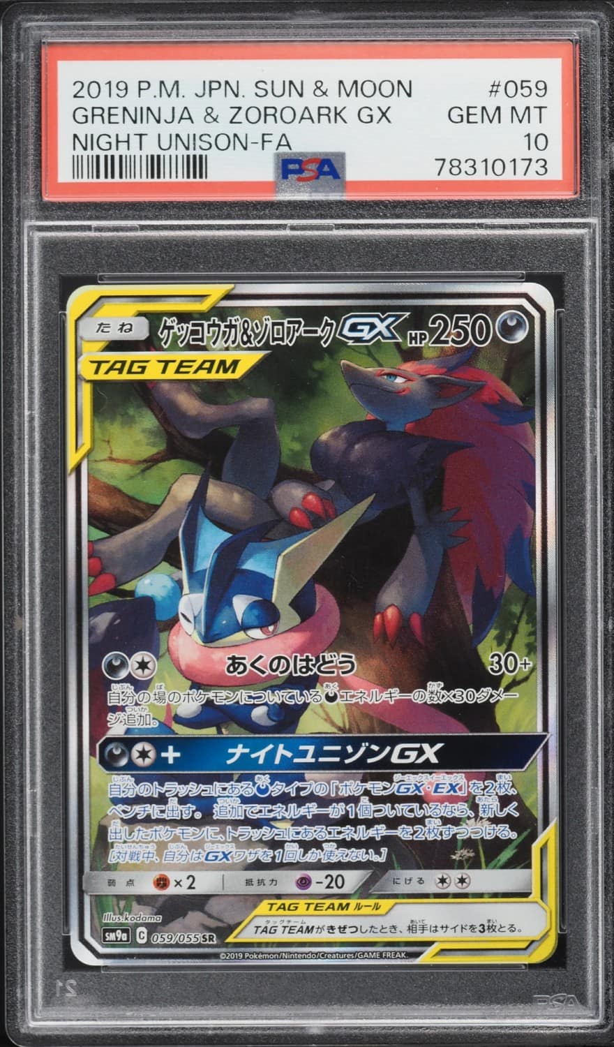 Greninja & Zoroark Gx