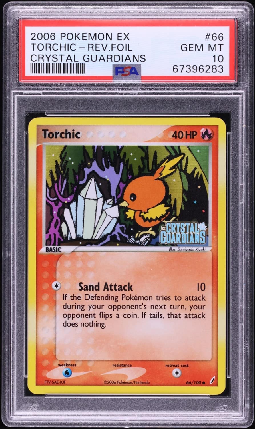 Torchic