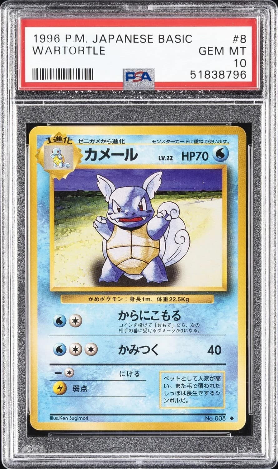 Wartortle