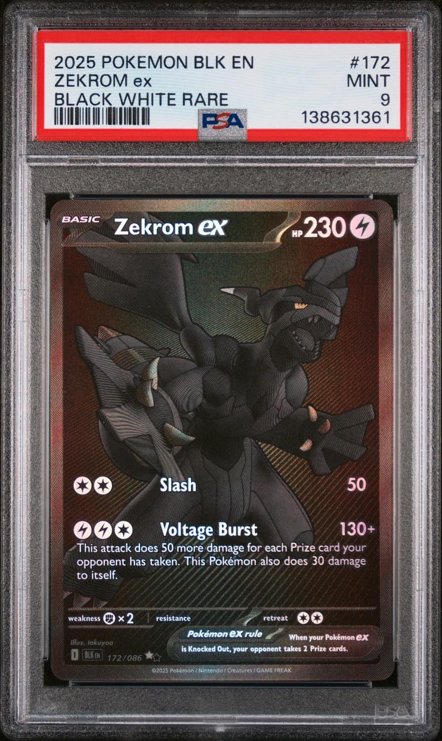 Zekrom Ex