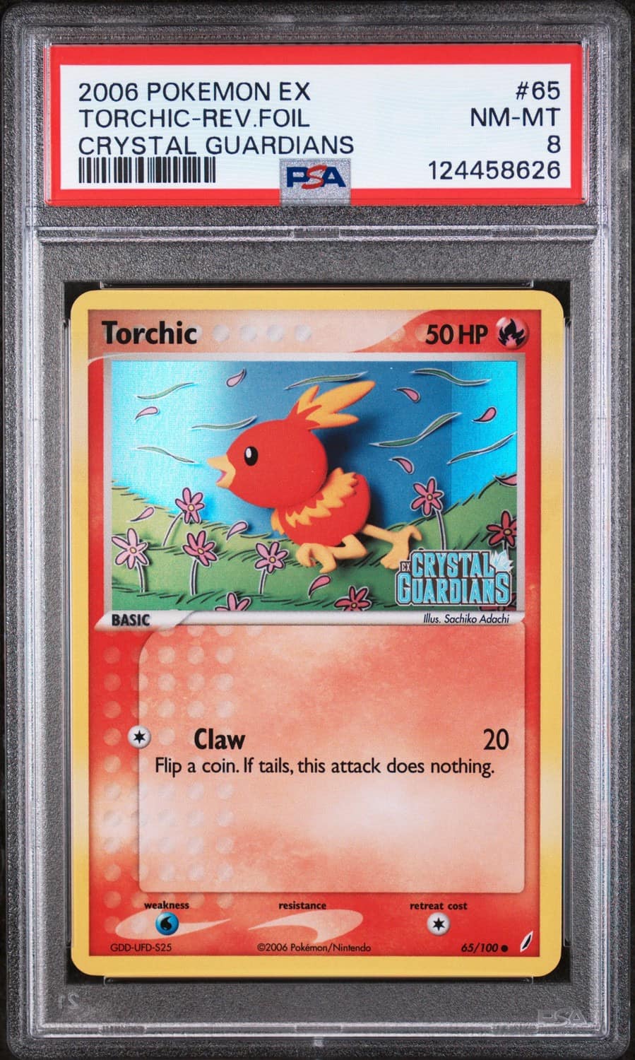 Torchic