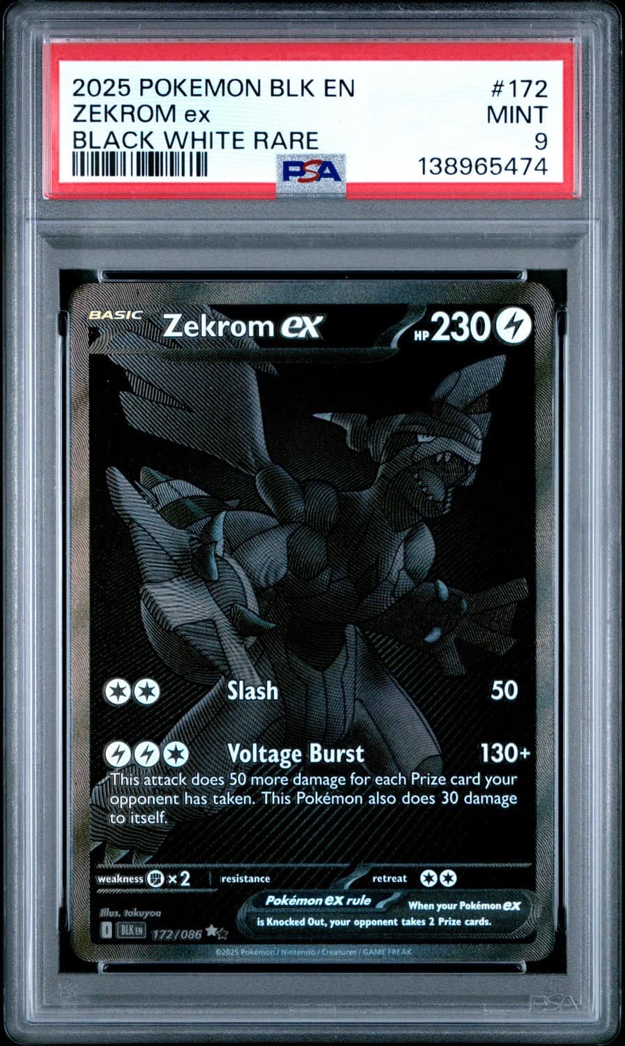 Zekrom Ex