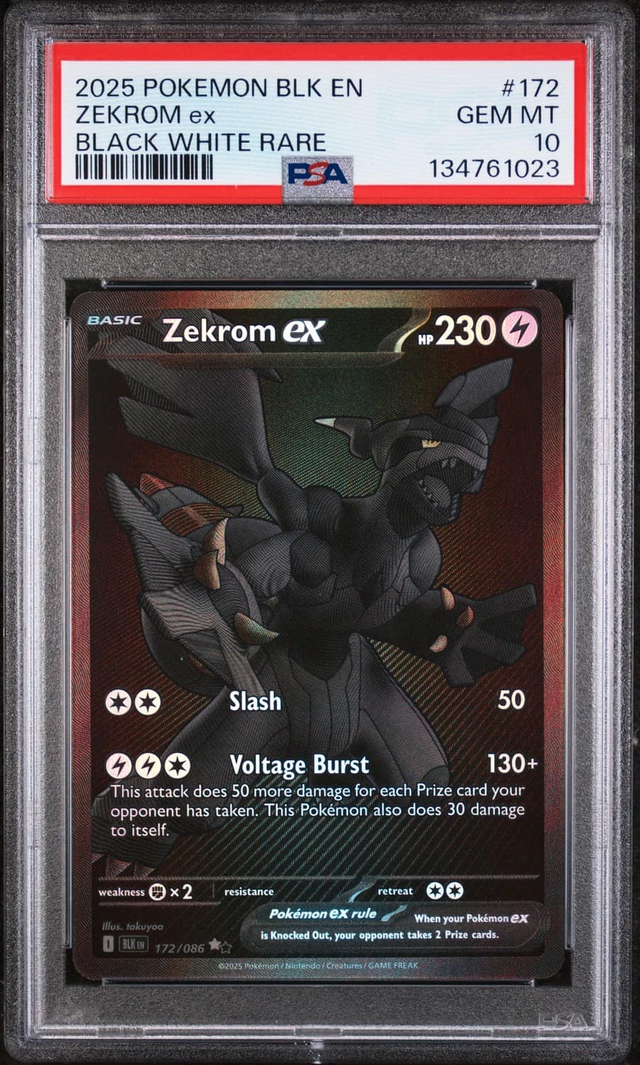 Zekrom Ex