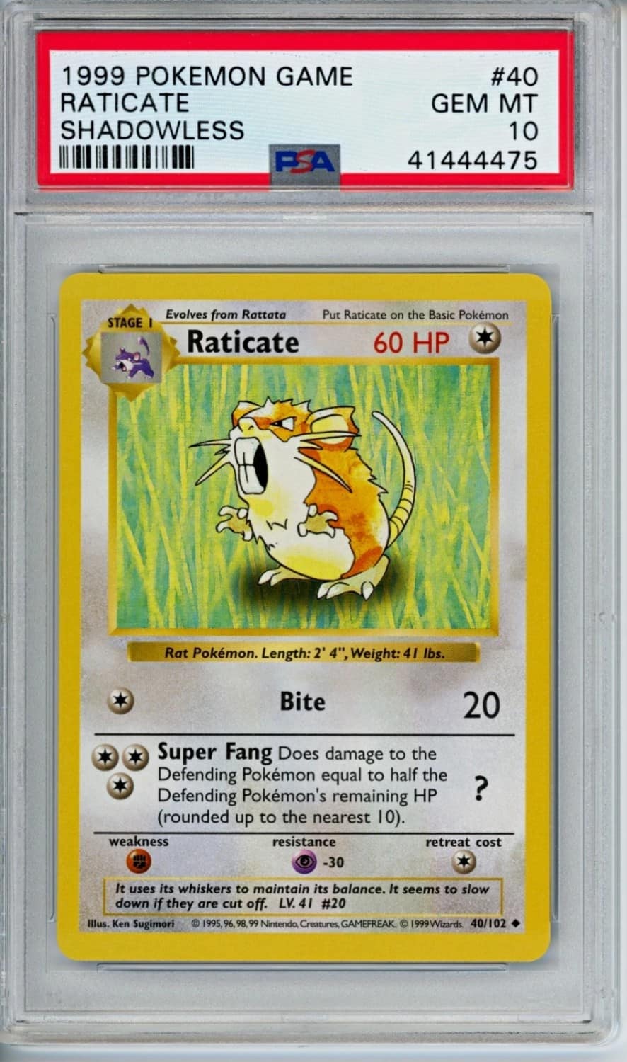 Raticate