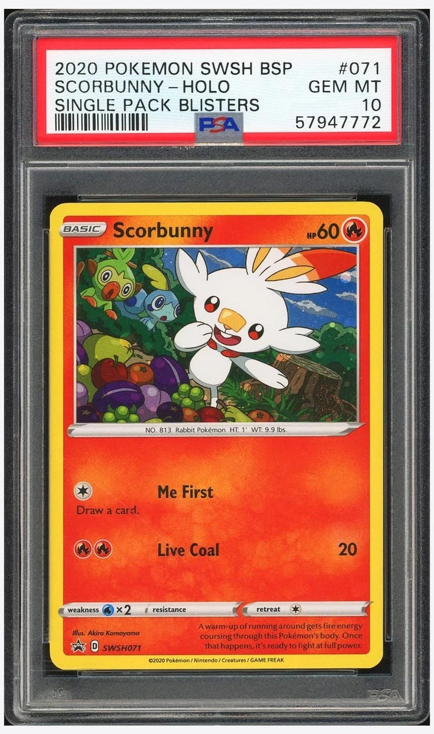 Scorbunny