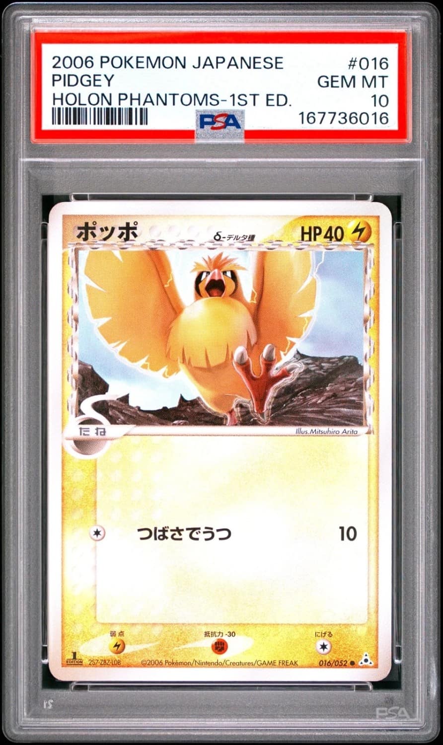 Pidgey