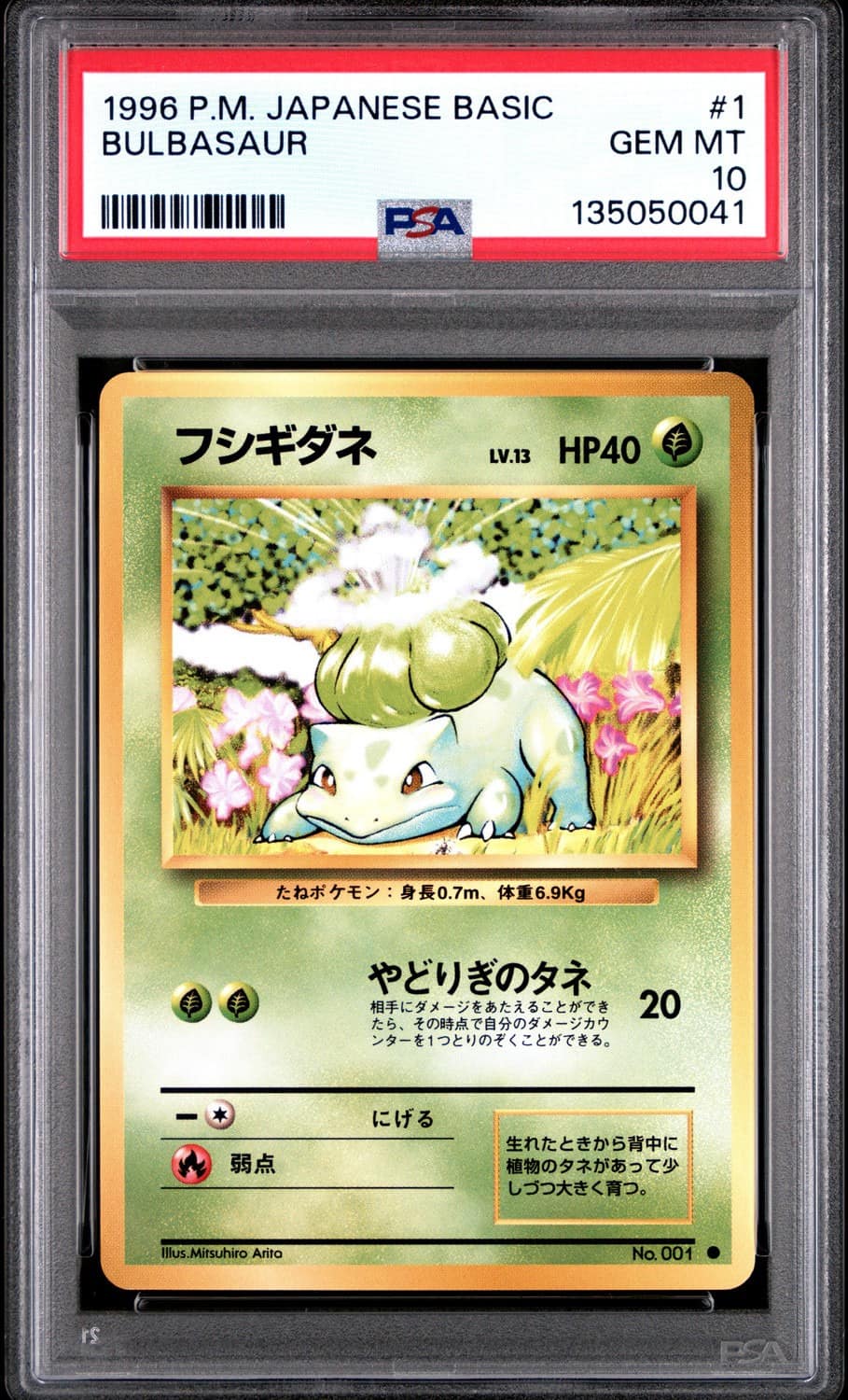 Bulbasaur