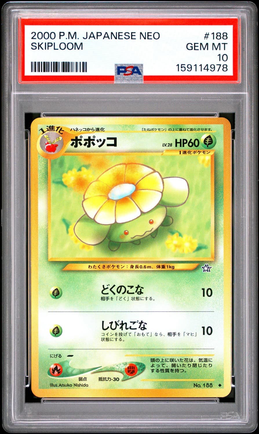 Skiploom