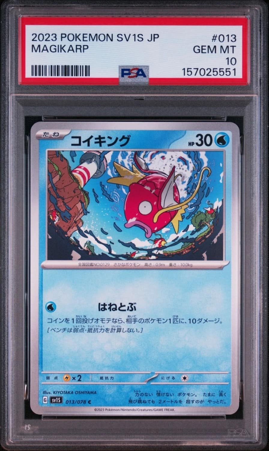 Magikarp