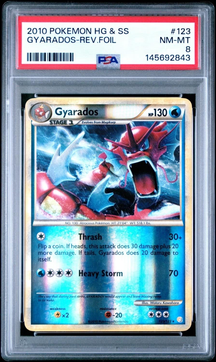 Gyarados