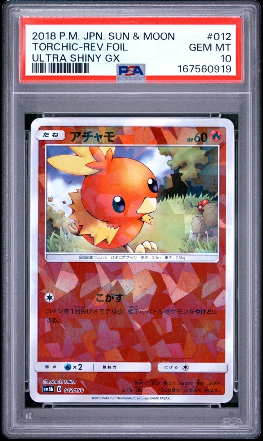 Torchic