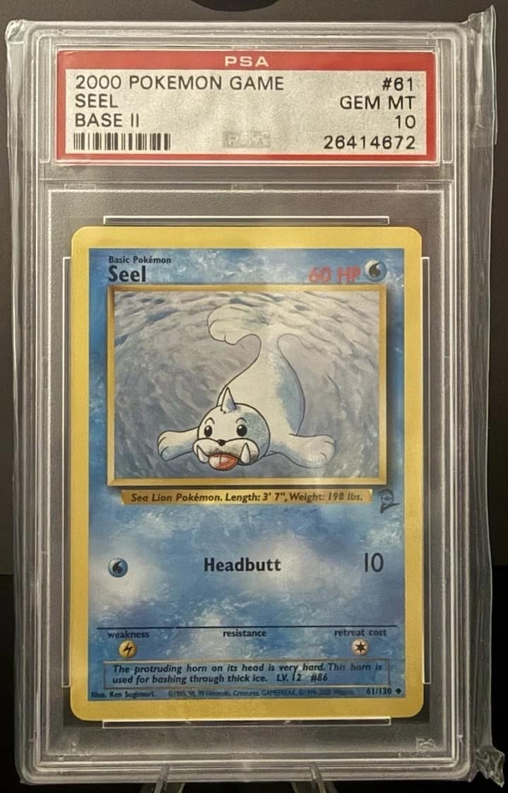 Seel