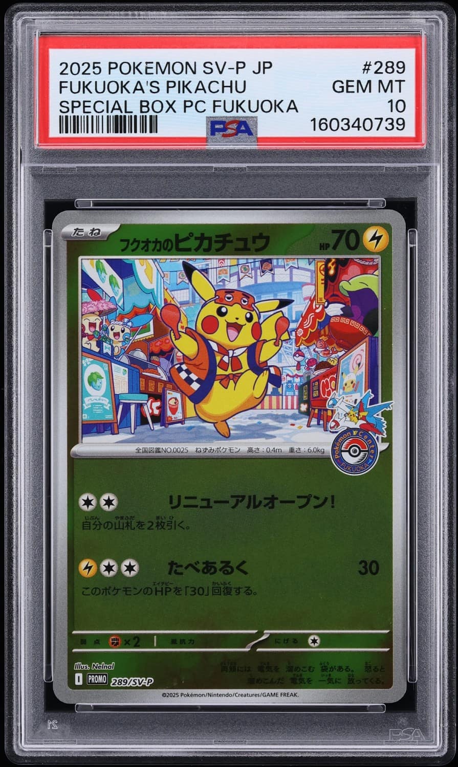 Fukuoka'S Pikachu