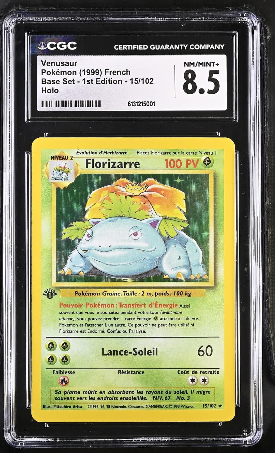 Florizarre