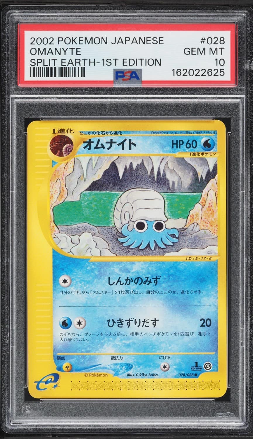 Omanyte