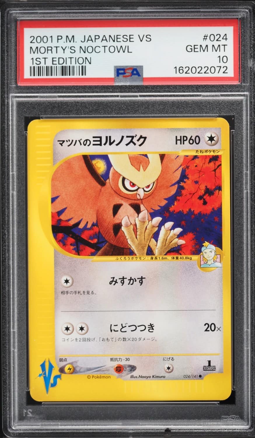 Morty'S Noctowl