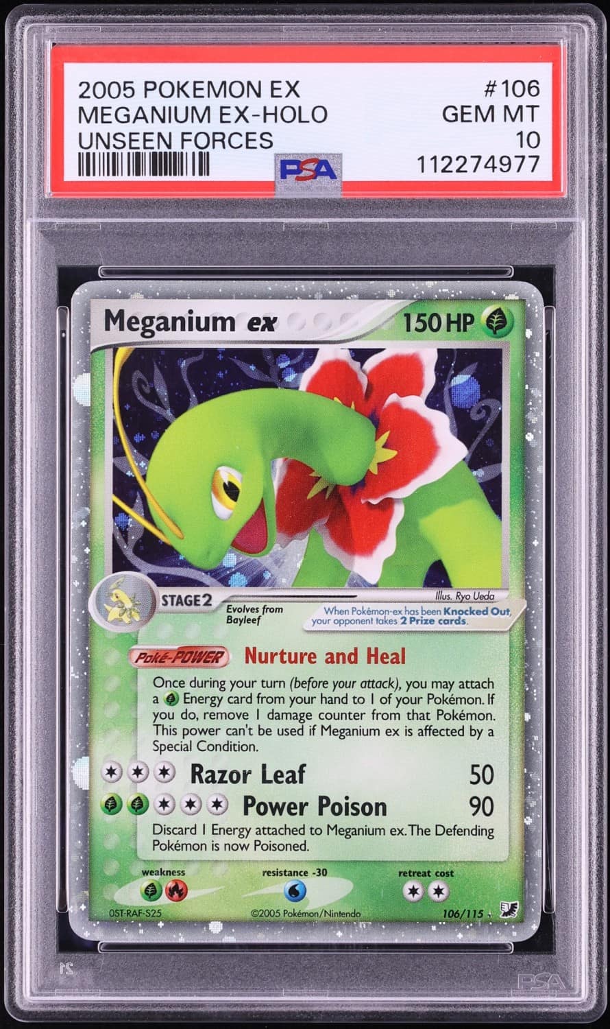 Meganium Ex