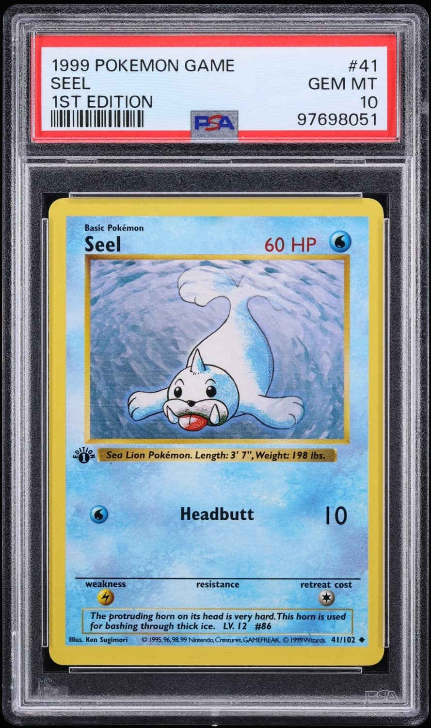 Seel