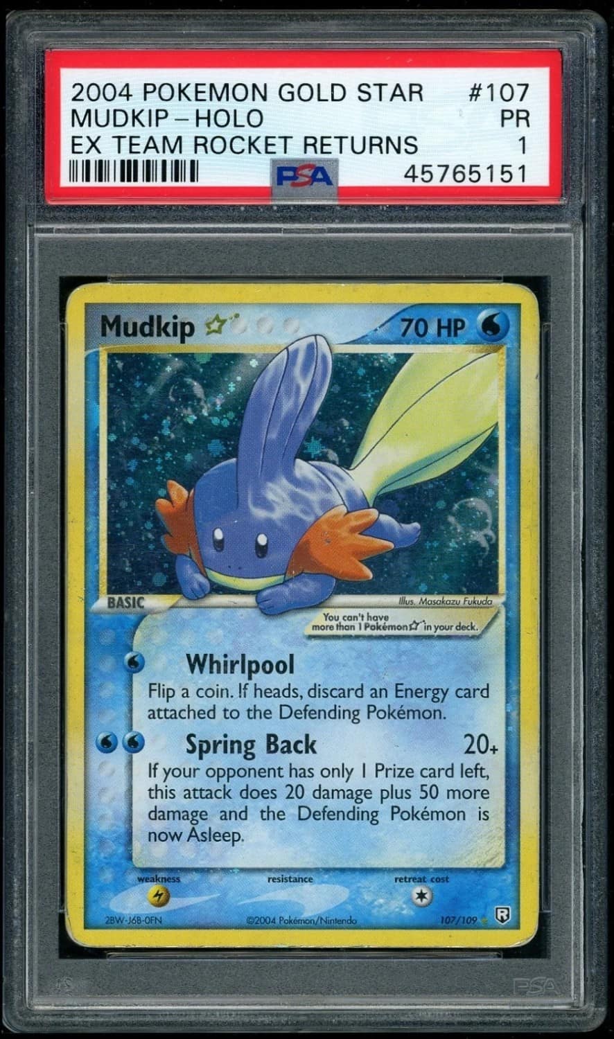Mudkip