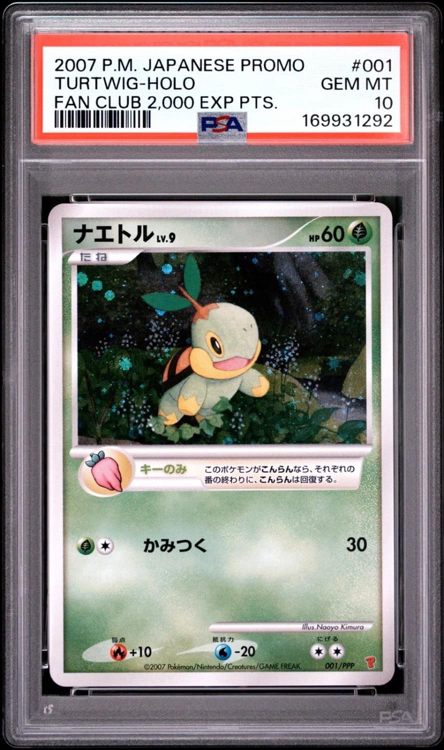 Turtwig