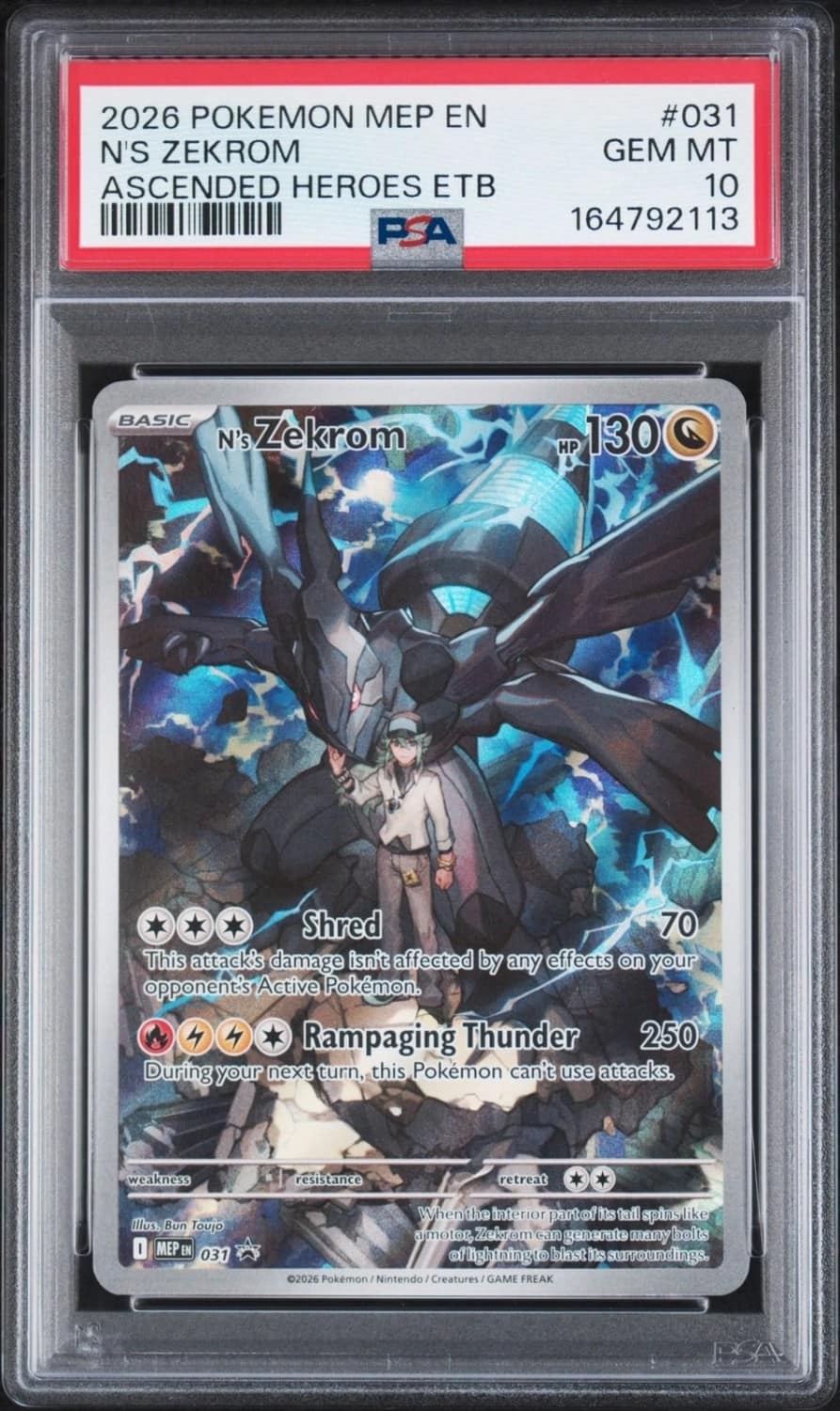 N'S Zekrom