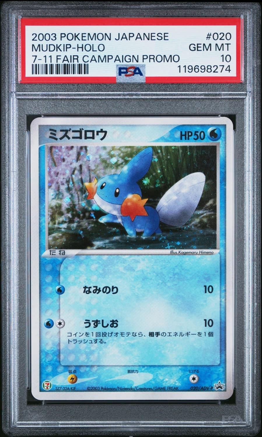 Mudkip