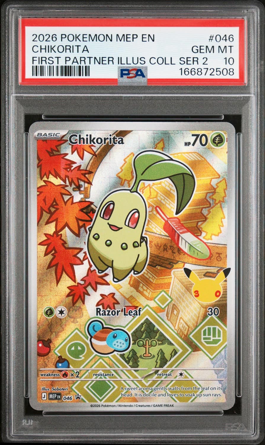 Chikorita