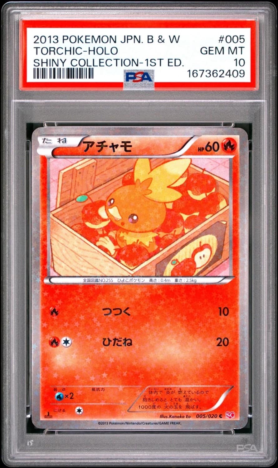 Torchic