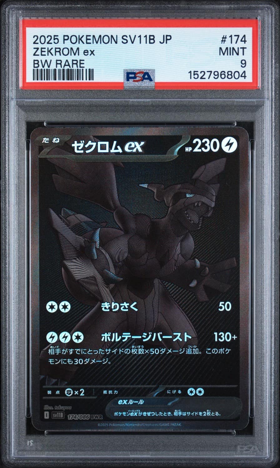 Zekrom Ex