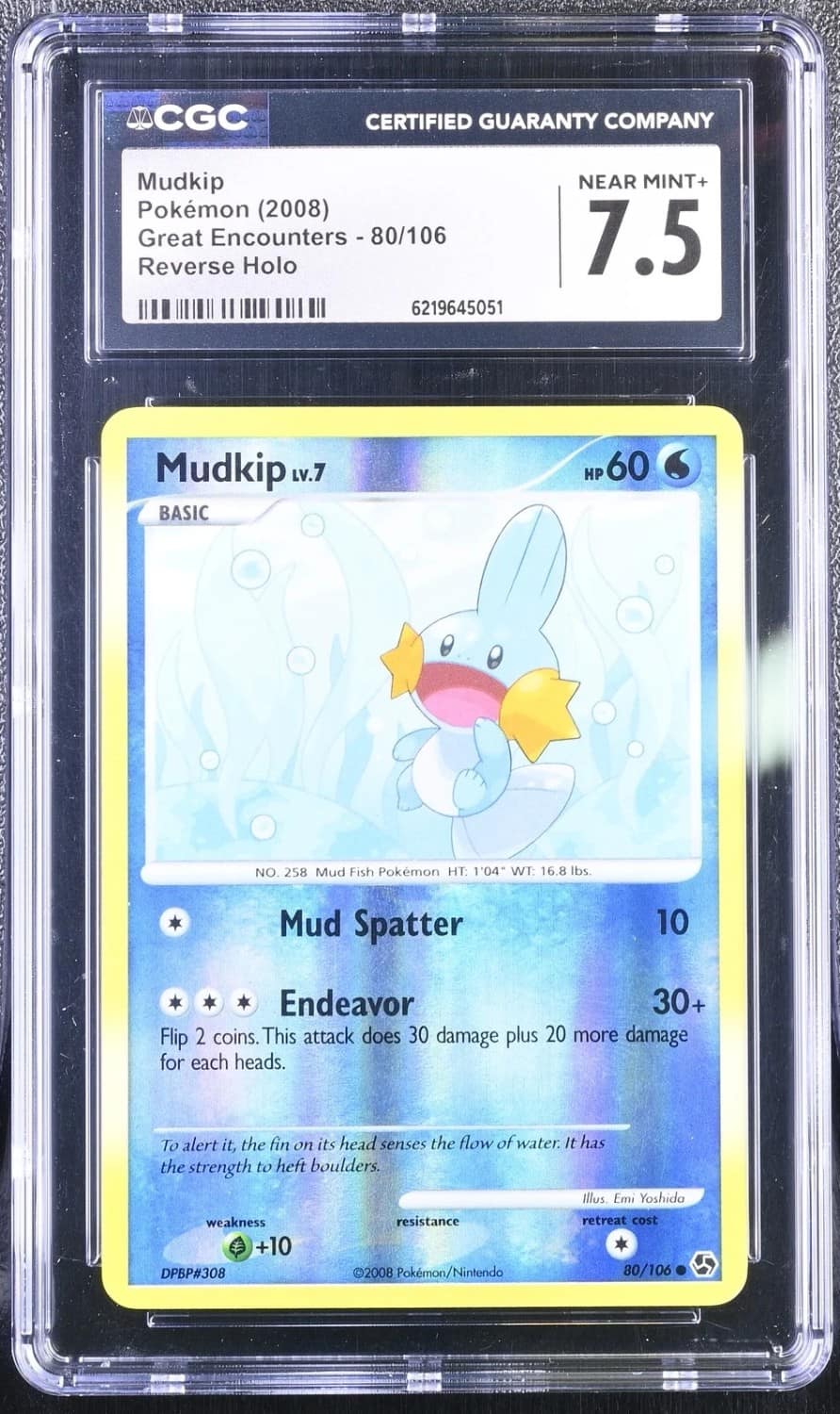 Mudkip