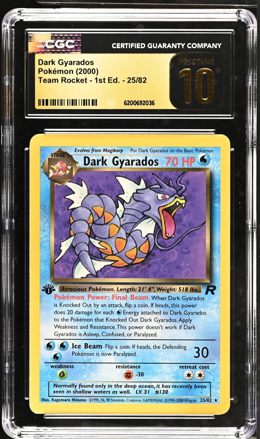 Dark Gyarados