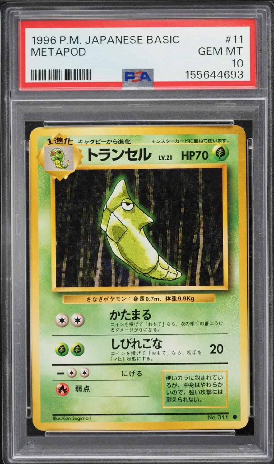 Metapod
