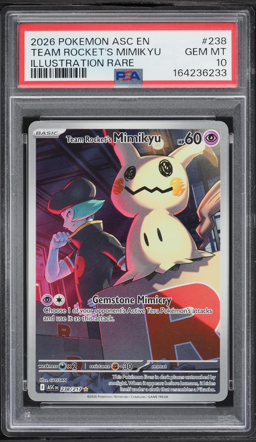 Team Rocket'S Mimikyu