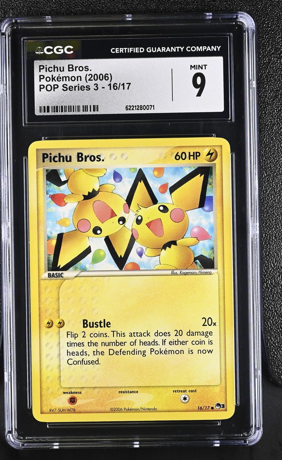 Pichu Bros