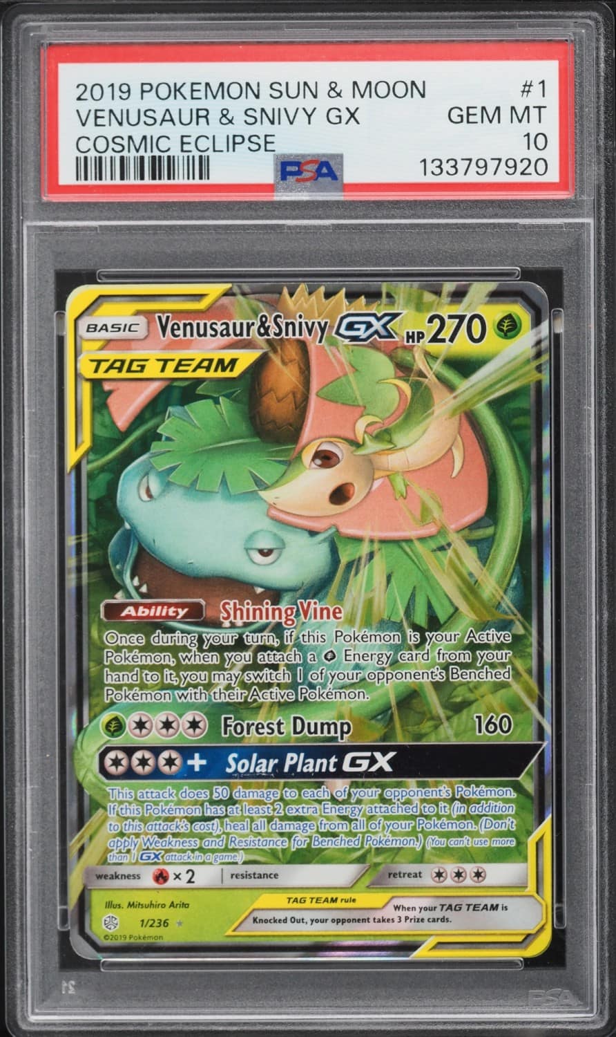 Venusaur & Snivy Gx