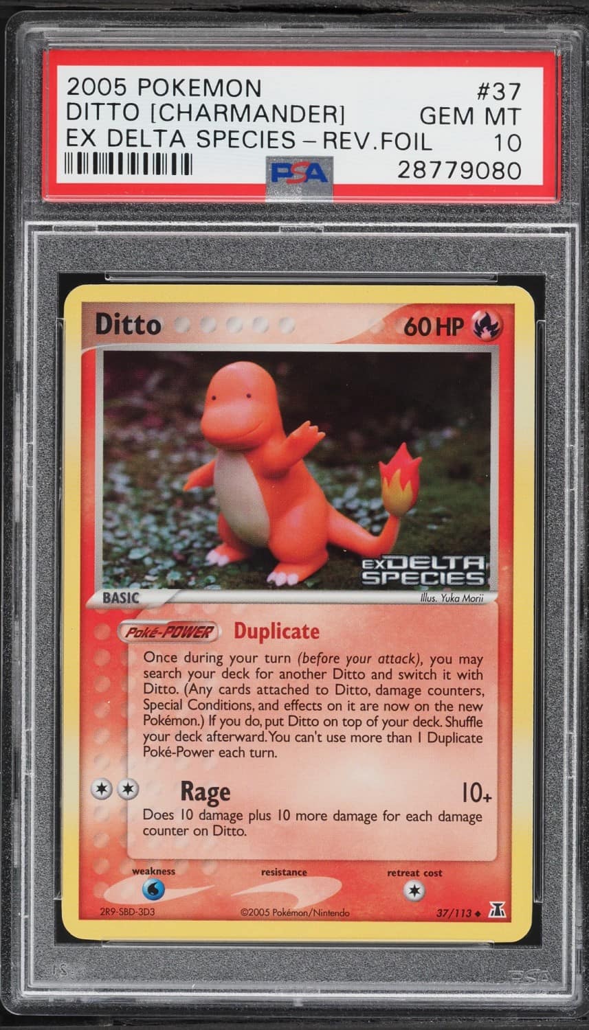 Ditto [charmander]