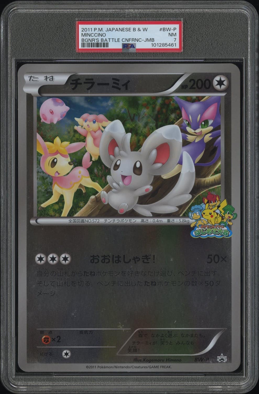 Minccino