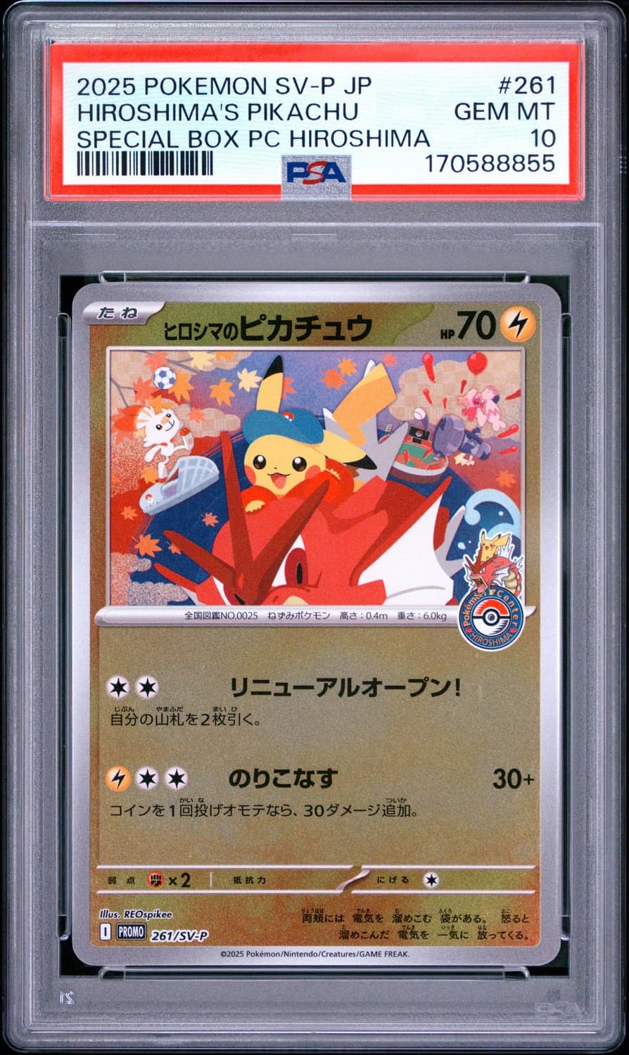 Hiroshima'S Pikachu