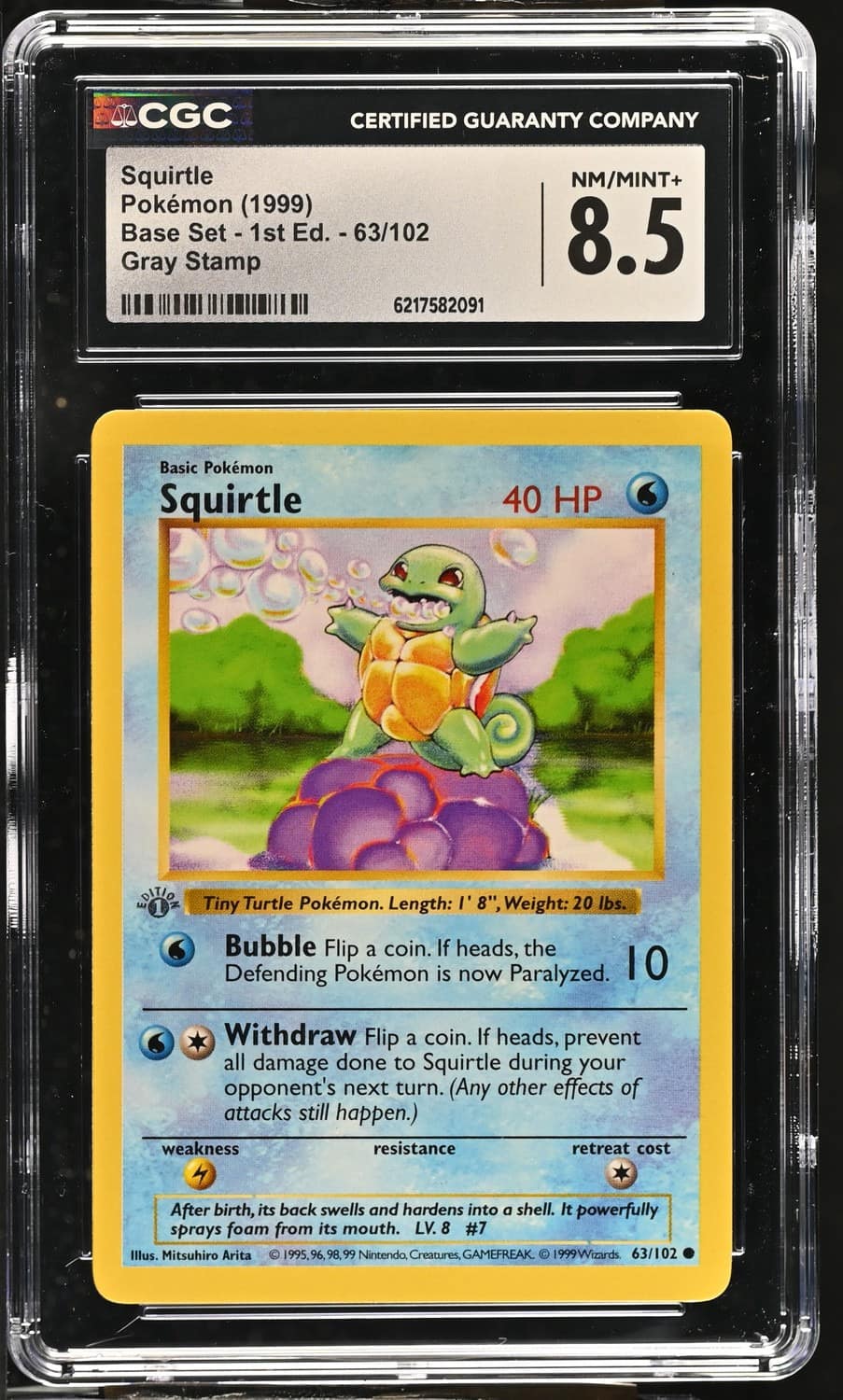 Squirtle