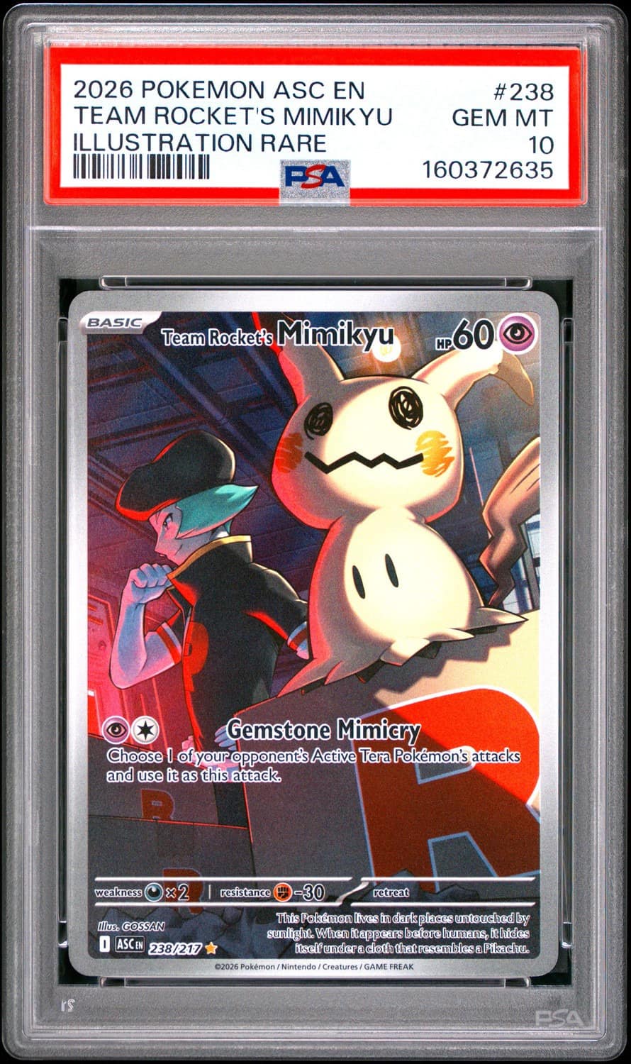 Team Rocket'S Mimikyu