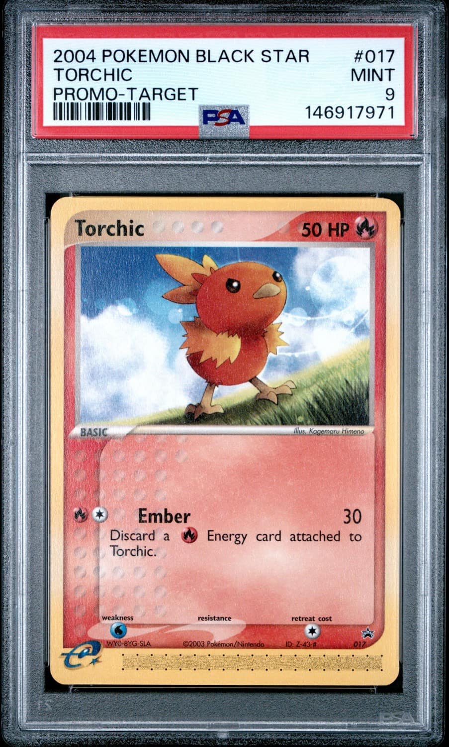 Torchic