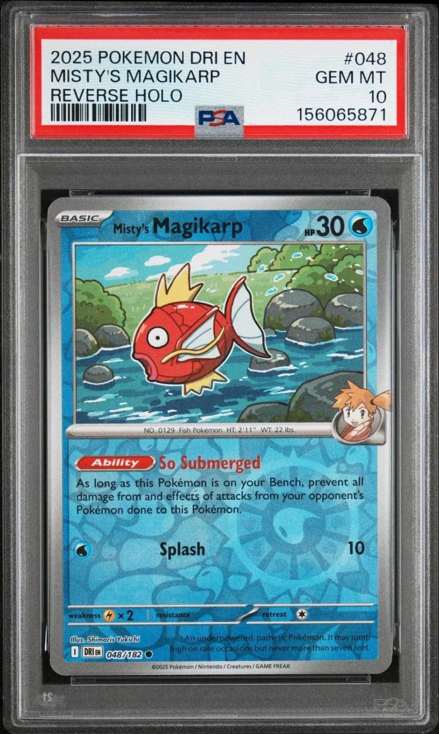 Misty'S Magikarp